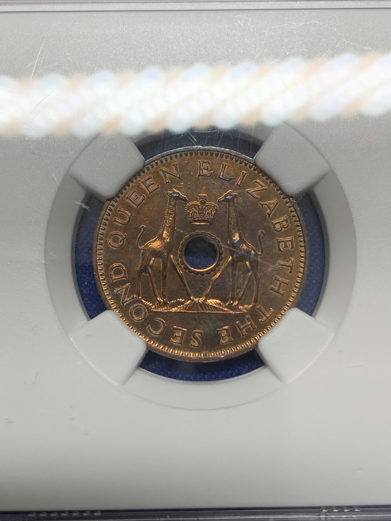 《竞宝斋》第219场-周日，周一 2场 (全场包邮) NGC PF64RB 罗德西亚和尼亚萨兰1955年1/2便士精制铜币
