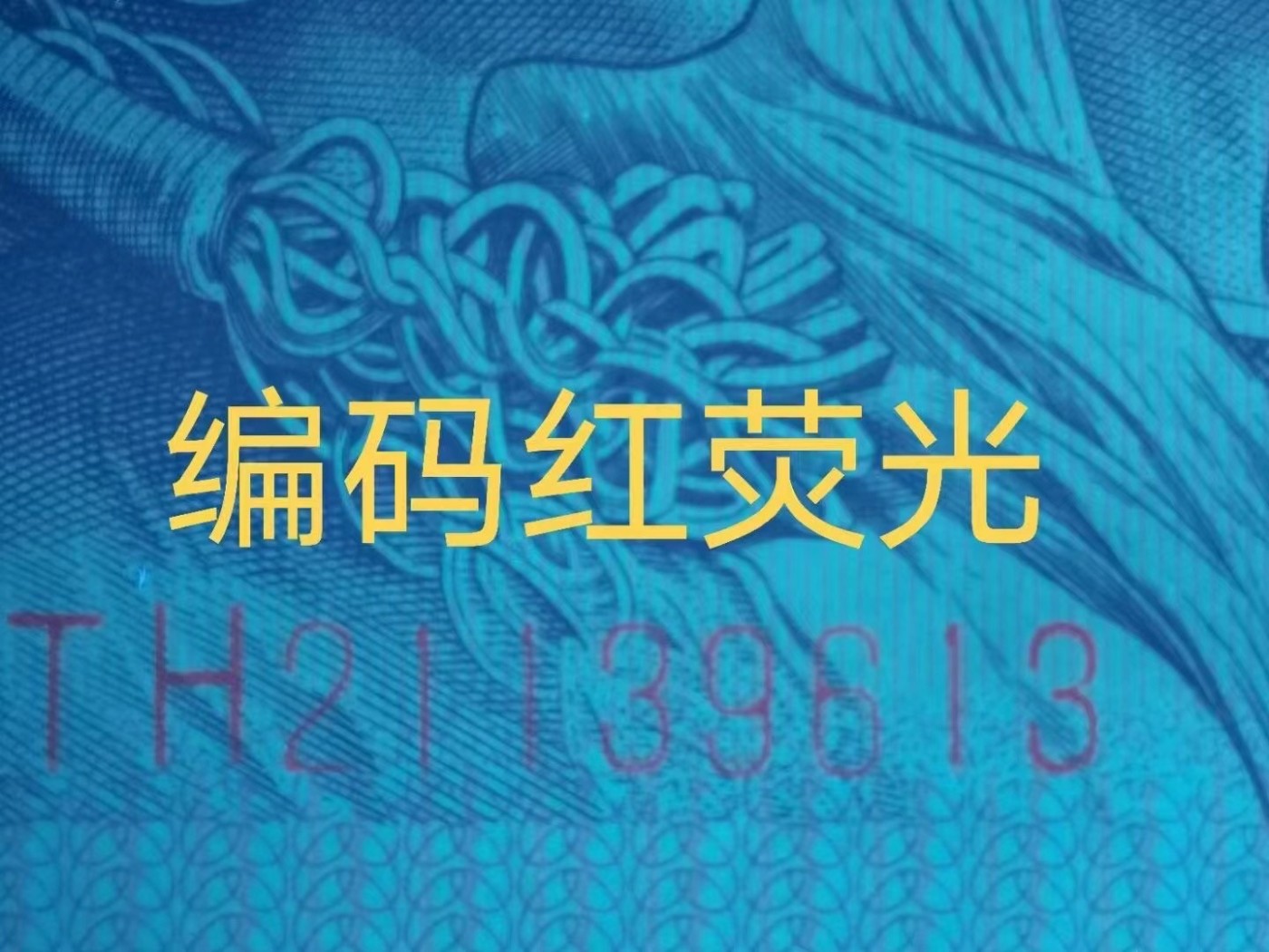 一线荧光币第330期拍场 钱坤评级8005TH太阳红点民，TH21133943，评级币单张，错币，5角瑕疵币本身就很少，绝品无斑无油