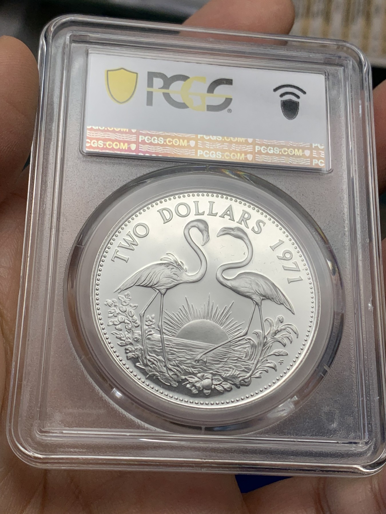 《竞宝斋》第219场-周日，周一 2场 (全场包邮) 冠军分 PCGS PR68 巴哈马1971年正面年轻女王背火烈鸟2元精制银币