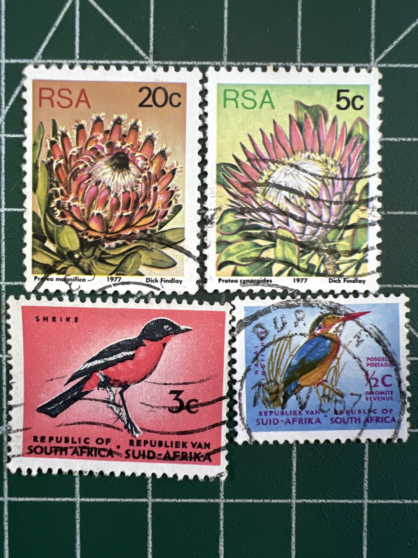 第471期 邮票、明信片专场 （无押金，捡漏，全场50包邮，偏远地区除外，接收代拍业务） 南非邮票