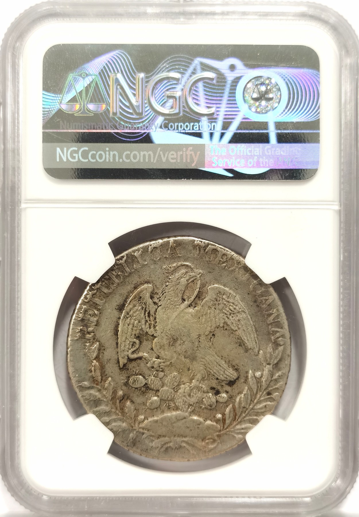 博洋堂【北京钱博会拍卖周】精品专场暨第54期（全场包邮） NGC XF45 墨西哥1832年Zs OM版花边鹰洋
