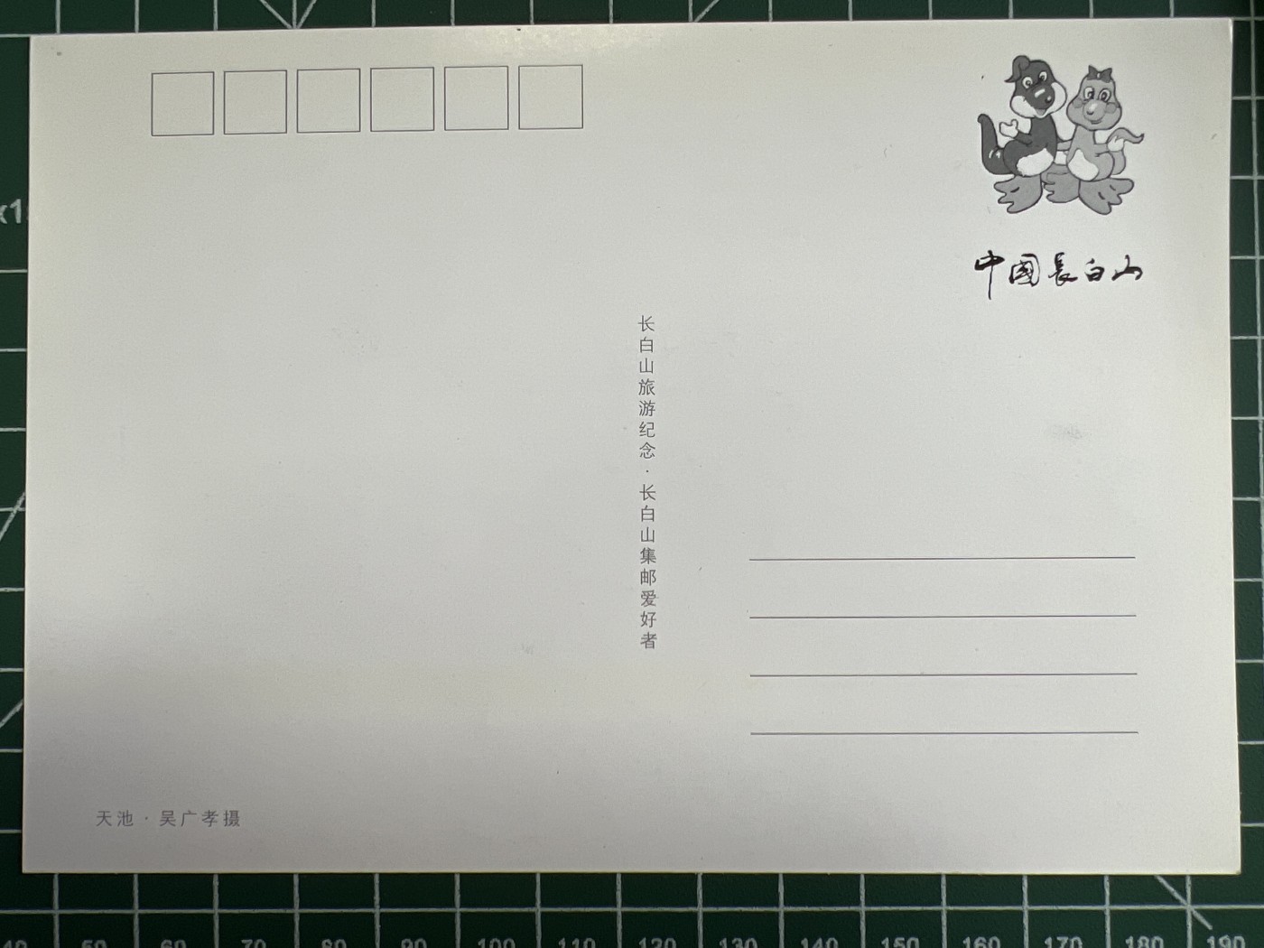 第490期 邮票、明信片专场 （无押金，捡漏，全场50包邮，偏远地区除外，接收代拍业务） 明信片