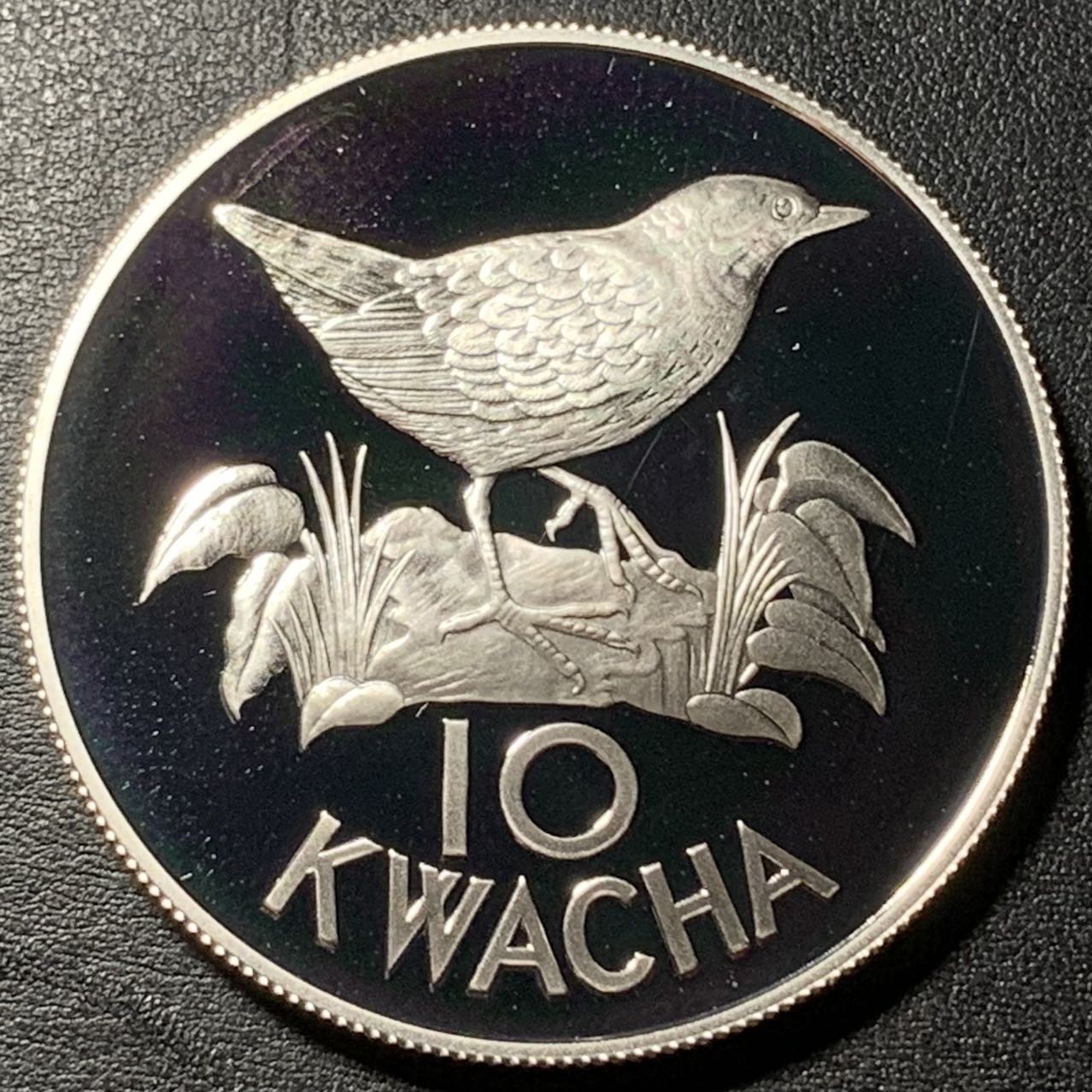 紫瑗钱币——第326期拍卖 赞比亚 1986年 WWF基金会25周年 鸟 10卡瓦查 25克 0.925银 精制
