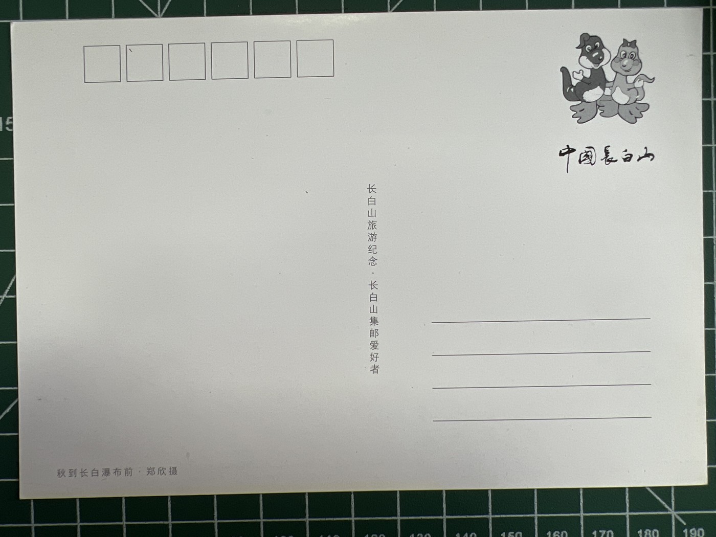 第617期 邮票、明信片专场 （无押金，捡漏，全场50包邮，偏远地区除外，接收代拍业务） 明信片