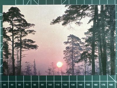 第939期  邮票专场 （无押金，捡漏，全场50包邮，偏远地区除外，接收代拍业务，本店十天发一次货） - 明信片