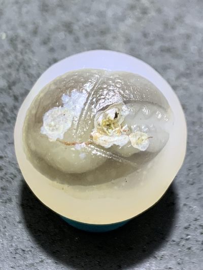 精美高玉化水墨纹亚光海洋玉髓手工俏色巧雕独霸一方随形2.0圆珠一个！ - 精美高玉化水墨纹亚光海洋玉髓手工俏色巧雕独霸一方随形2.0圆珠一个！