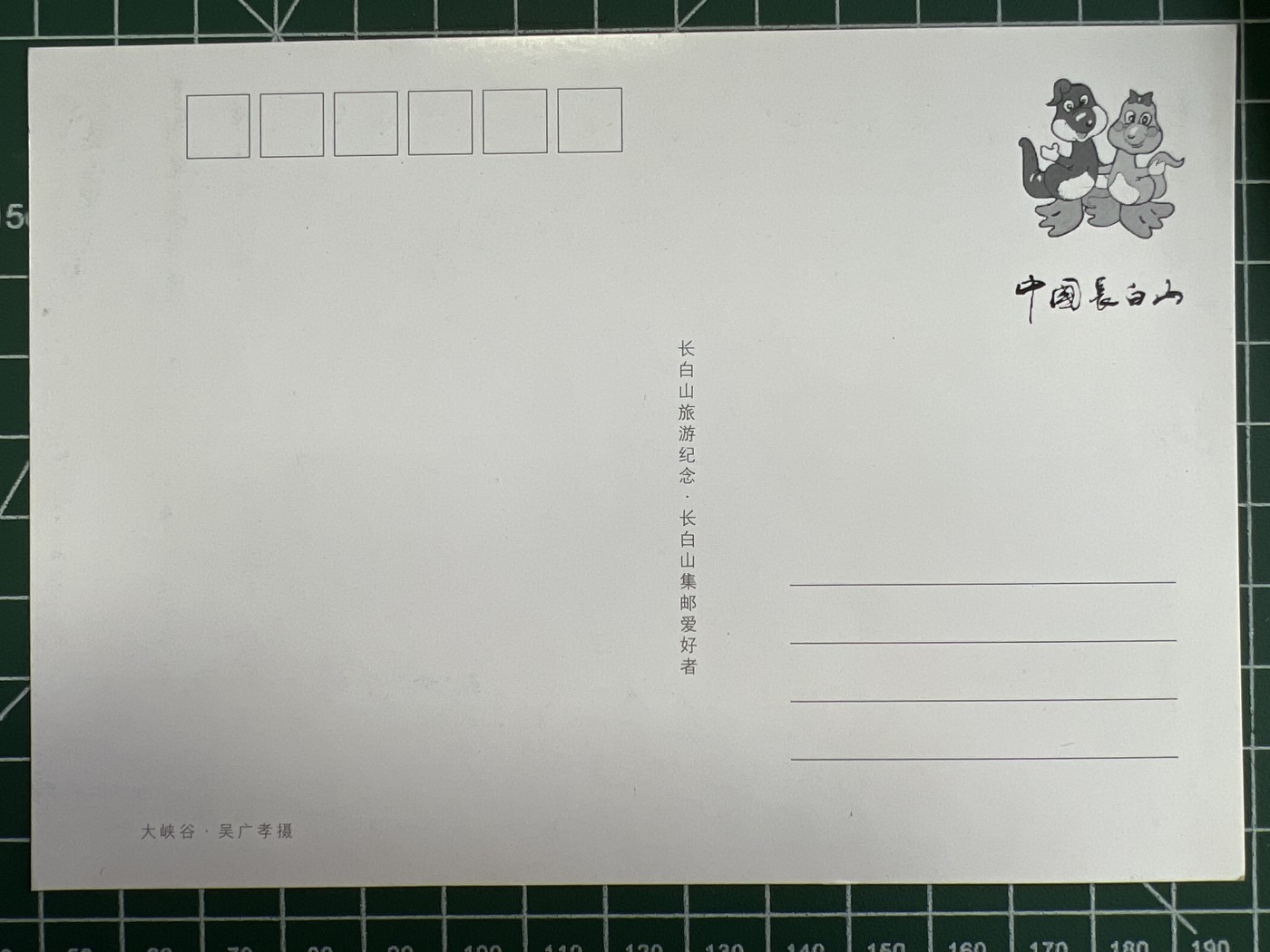 第939期  邮票专场 （无押金，捡漏，全场50包邮，偏远地区除外，接收代拍业务，本店十天发一次货）