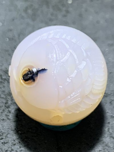 精美亚光高玉化海洋玉髓手工俏色巧雕胖鲤鱼随形圆珠一个！ - 精美亚光高玉化海洋玉髓手工俏色巧雕胖鲤鱼随形圆珠一个！