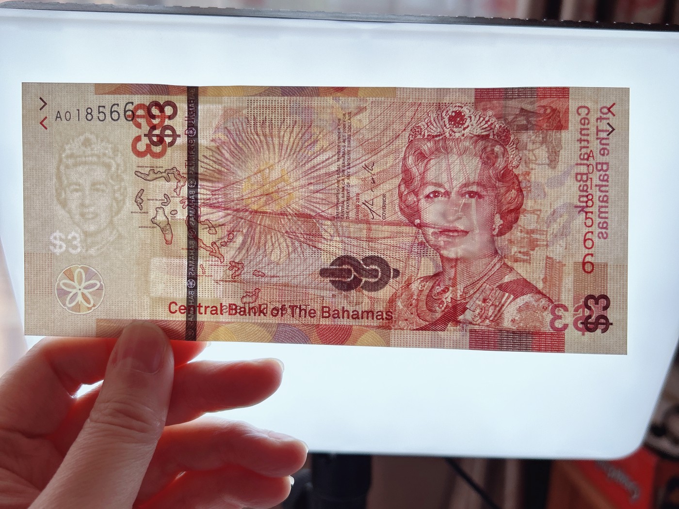 全场一元起拍 各国纸币专场 第43期 全新 巴哈马3元纸币 2019年版 女王头像 A冠 无47 尾号66