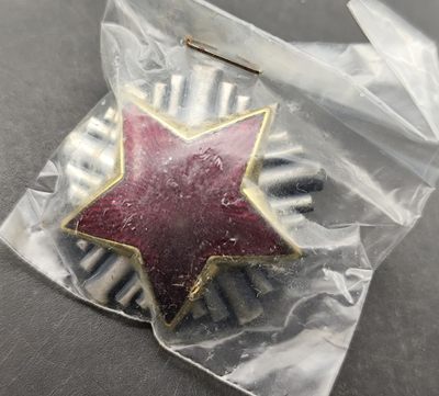 成斌钱币 2023-11-29钱币、徽章专场 - 南斯拉夫共和国铜制帽徽