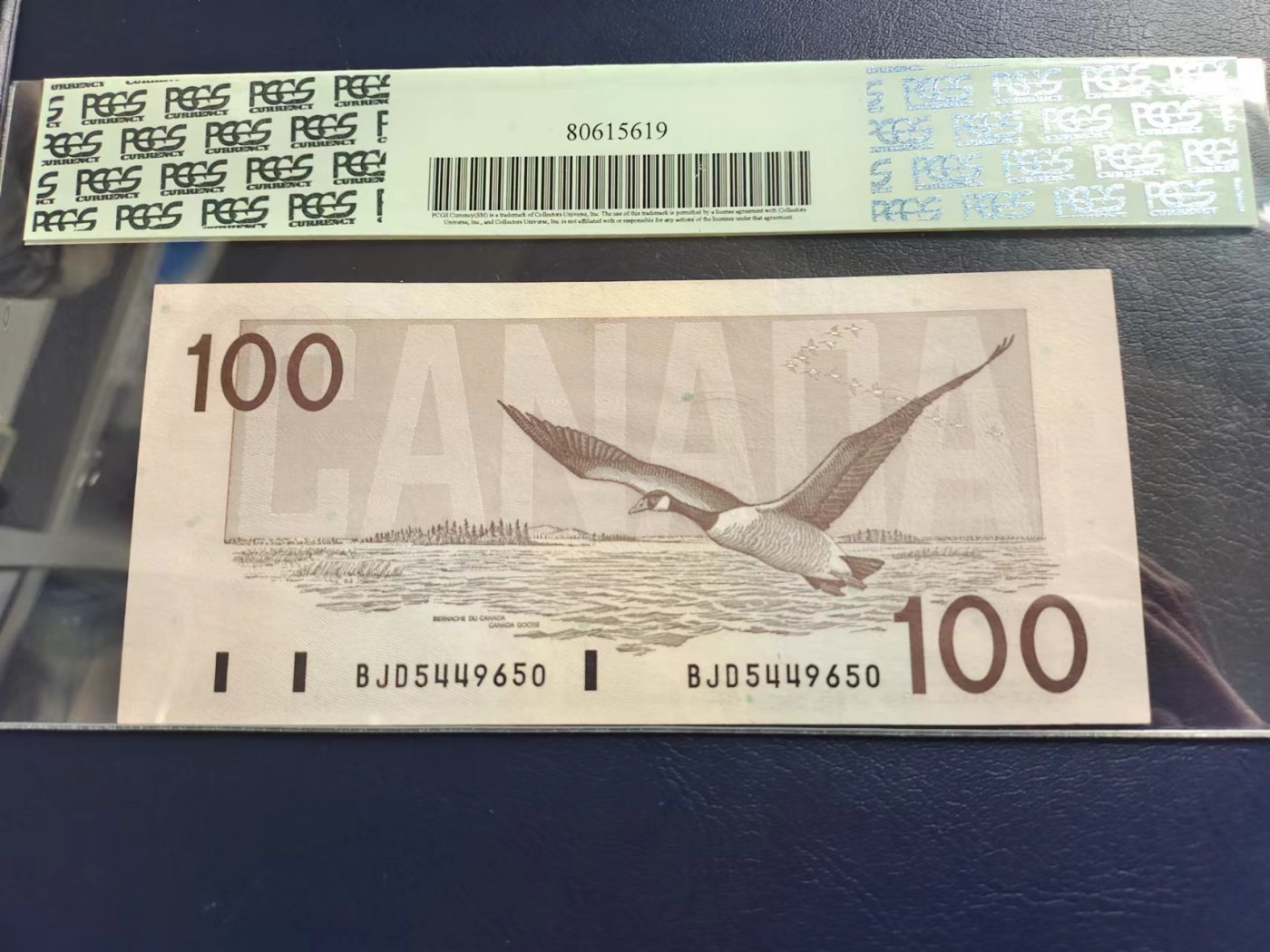Super Gem Unc 加拿大纸币 1988年 100加元纸币 Pcgs 67PPQ Super Gem Unc 加拿大纸币 1988年 100加元纸币 Pcgs 67PPQ