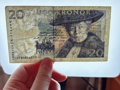 全场一元起拍 各国纸币专场 第43期 瑞典20克朗纸币 尼尔斯骑鹅旅行记