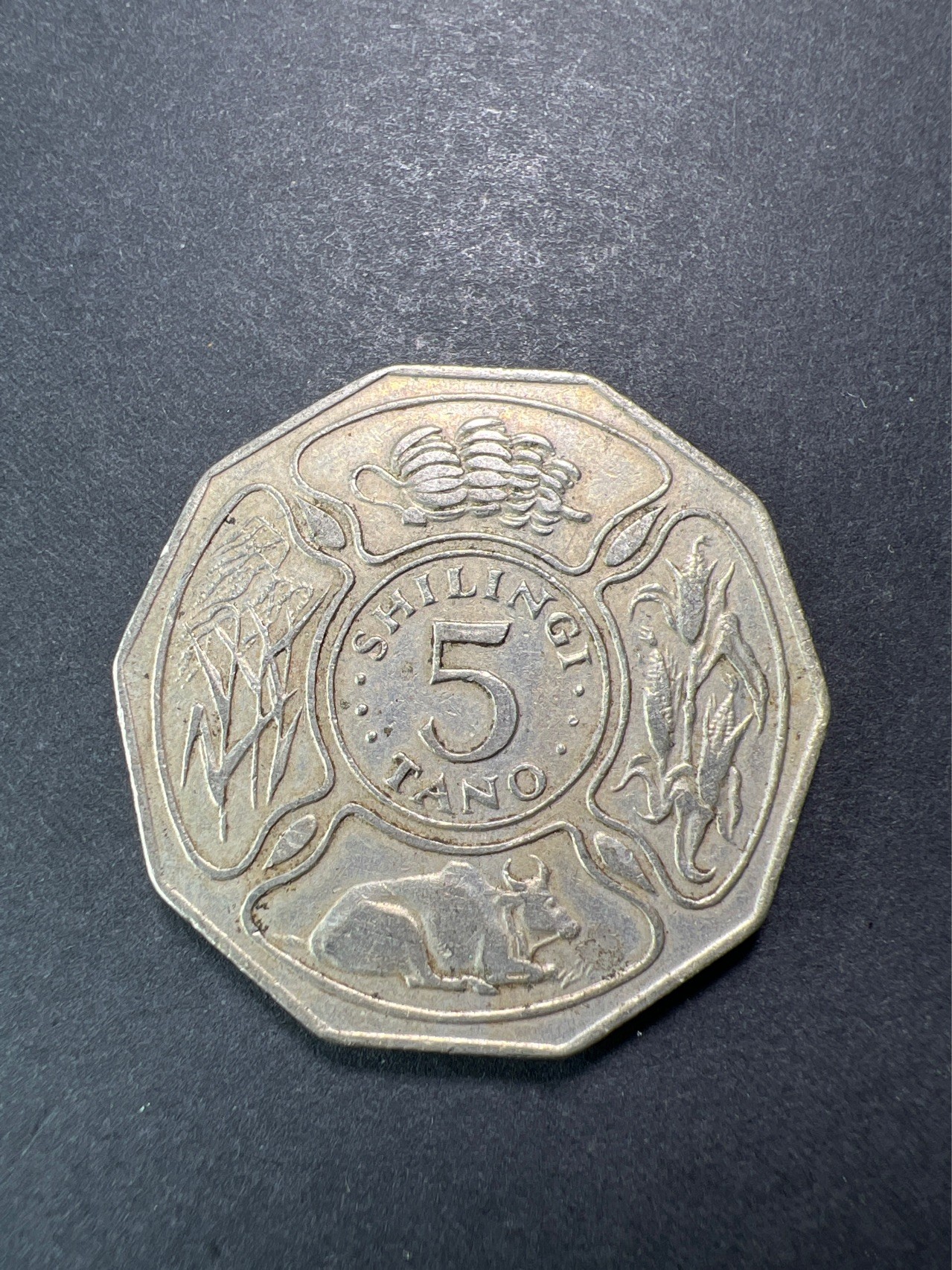 【8个洞收藏】第32场★ 🈵20元or 6件包邮★硬币专场  坦桑尼亚 1973年 5先令 FAO纪念币