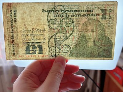 全场一元起拍 各国纸币专场 第43期 爱尔兰1镑 文学经典《牛皮书》文字节选 