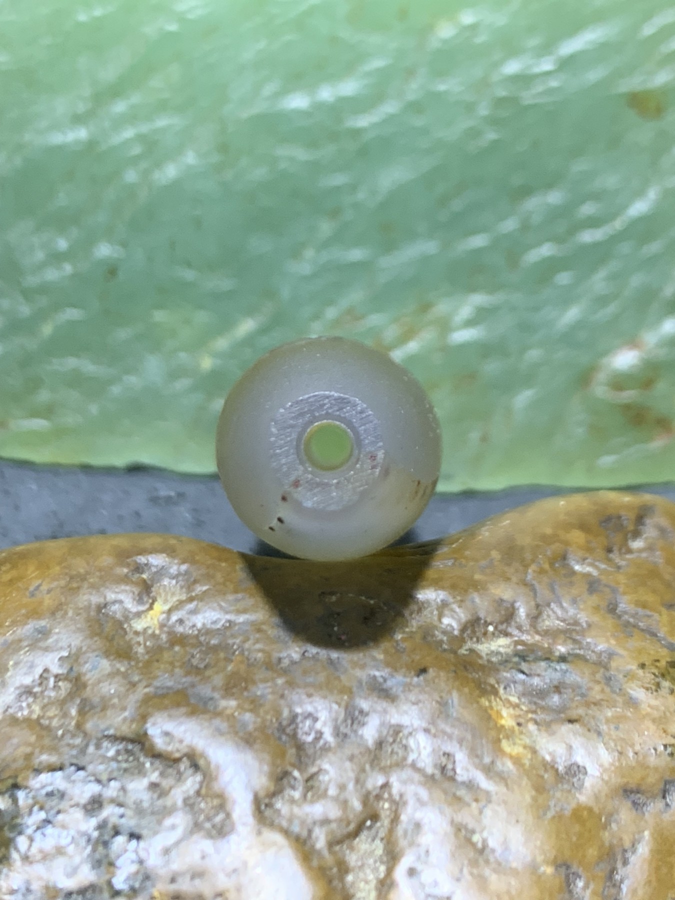 精美亚光高玉化巴西玛瑙手工俏色巧雕一心向佛桶珠一个