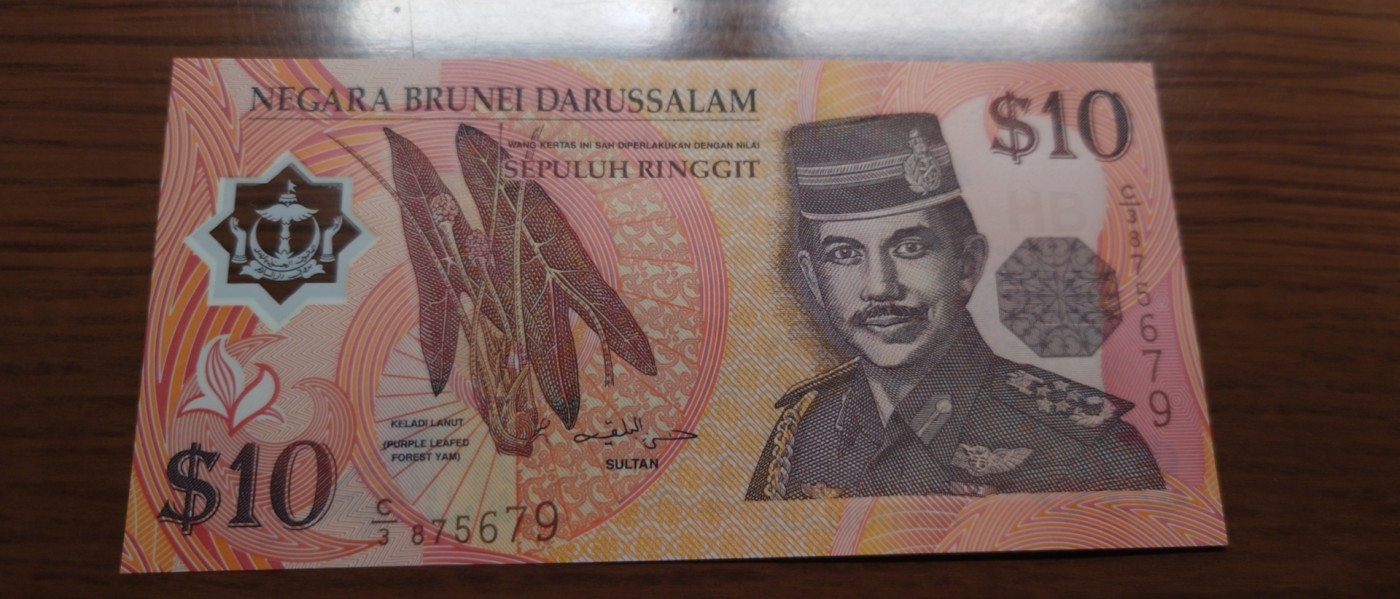 【世界钱币】精选微拍第87期暨2023年第三十四期 裸钞专场 1996年文莱10林吉特 全新绝品