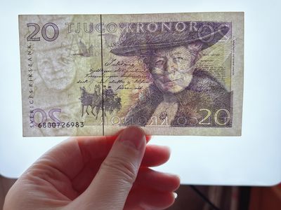 全场一元起拍 各国纸币专场 第43期 瑞典20克朗纸币 尼尔斯骑鹅旅行记