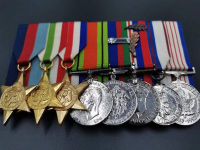 老王徽章拍卖第十七期 - 加拿大二战8联排奖章  二战防卫、二战纪念、海外志愿者服、女王1952-77加冕25周年纪念章为银质，此外还有法德、意大利、二战三枚二战星星，加拿大建国125周年纪念章等