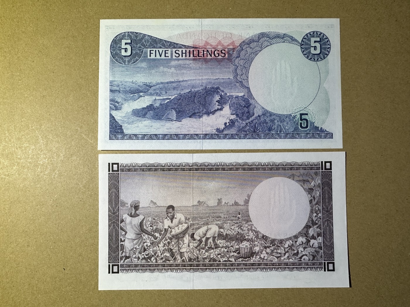 《张总收藏》128期-精品裸币专场 乌干达5、10先令2张 UNC 1966年首套纸币 边缘荧光