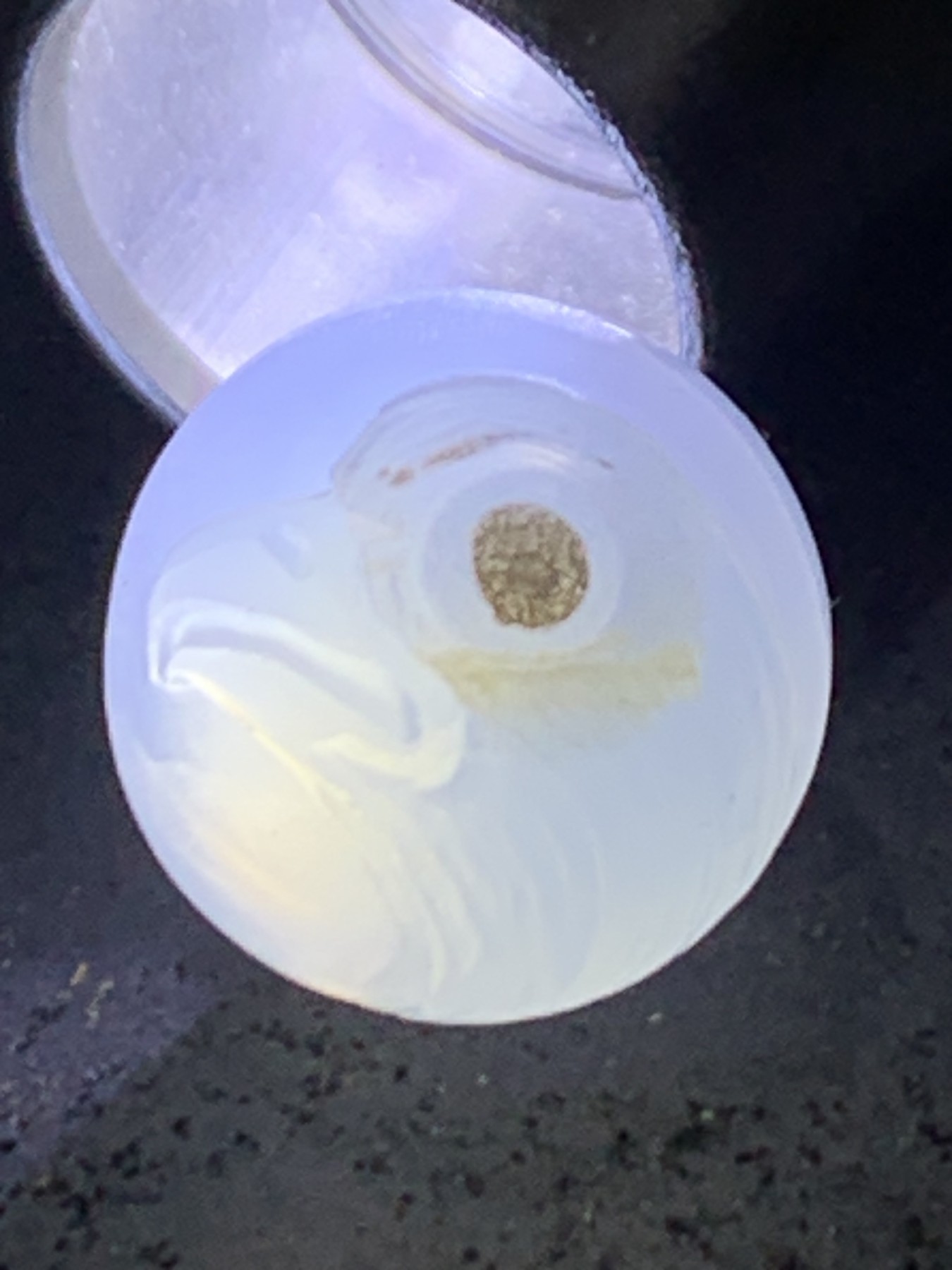 精美高玉化亚光海洋玉髓手工俏色巧雕雄鹰圆珠一个！