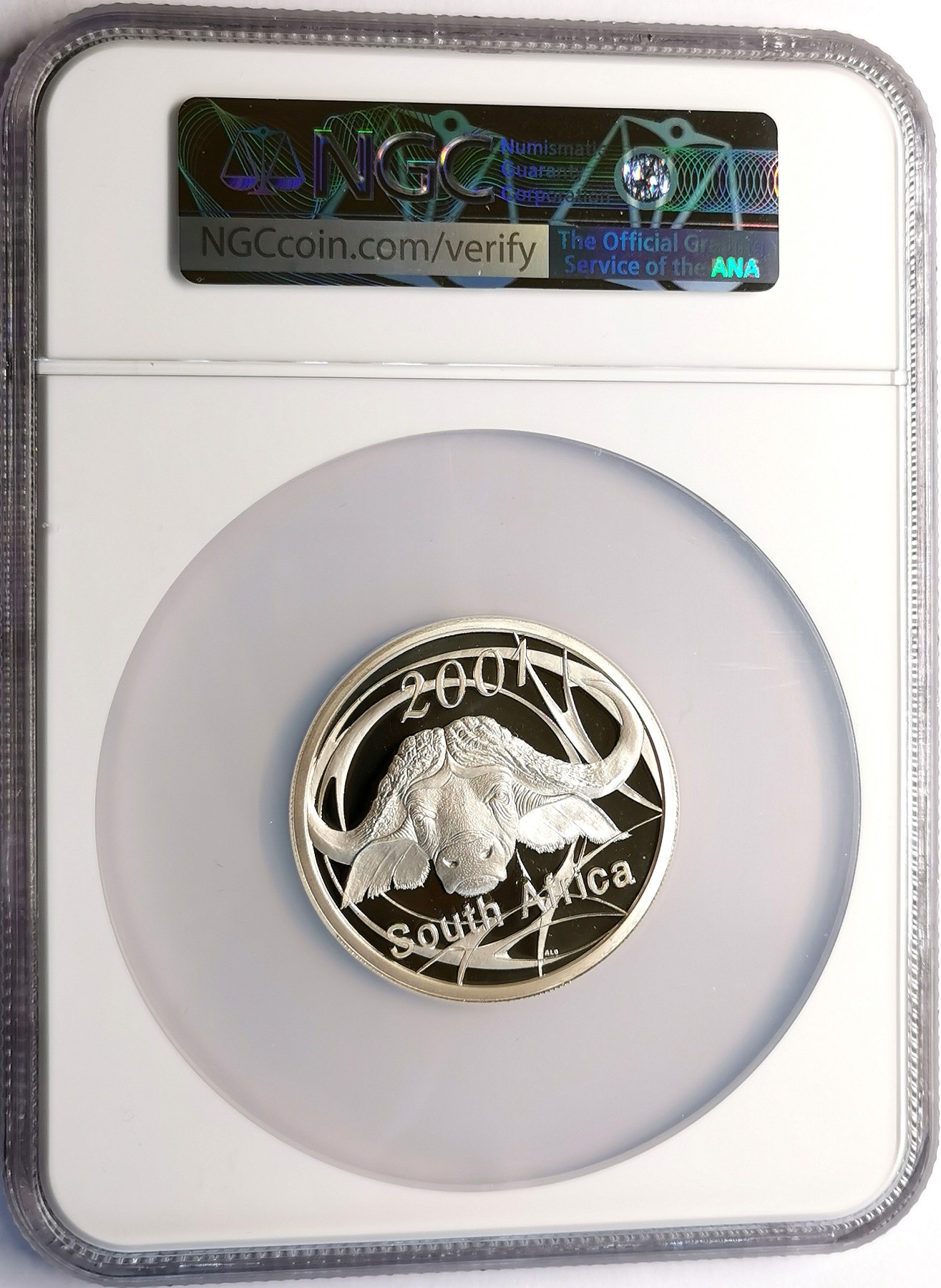 凡希社世界钱币微拍第二百五十六期 2001南非水牛50分2盎司大银精铸NGC-PF68UC