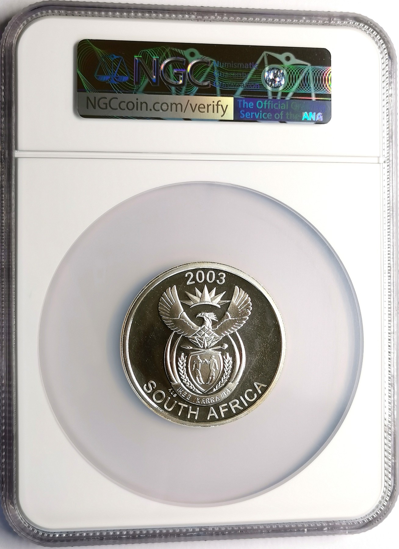 凡希社世界钱币微拍第二百五十六期 2003南非犀牛50分2盎司大银精铸NGC-PF67UC