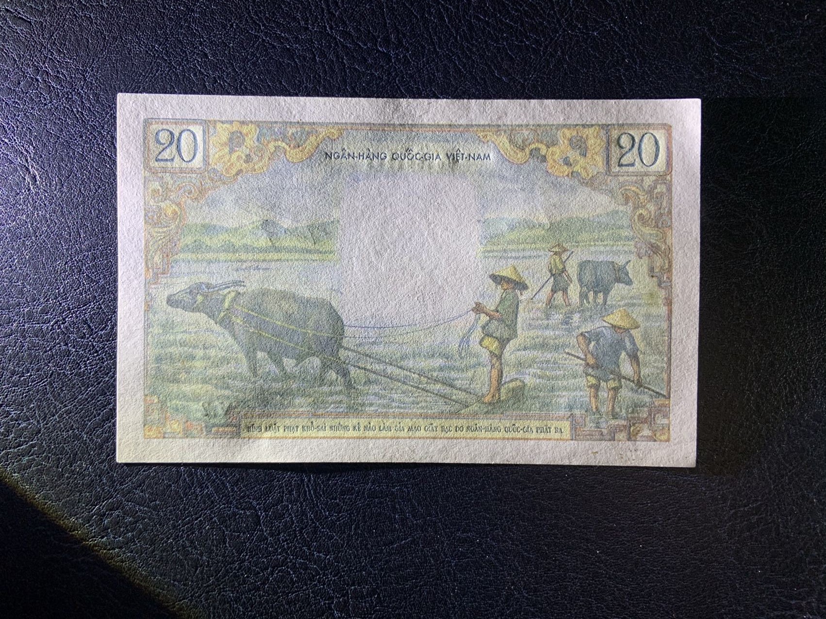 收藏联盟Quantum Auction 第308期拍卖  越南1956年20盾 品相UNC- 针孔修补 香蕉花