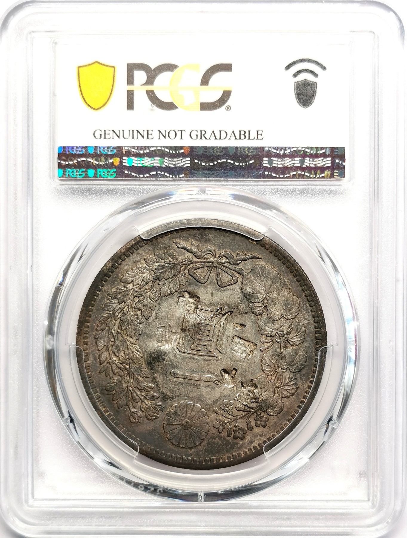 凡希社世界钱币微拍第二百五十六期 明治二十五年龙壹元PCGS-AUD字戳