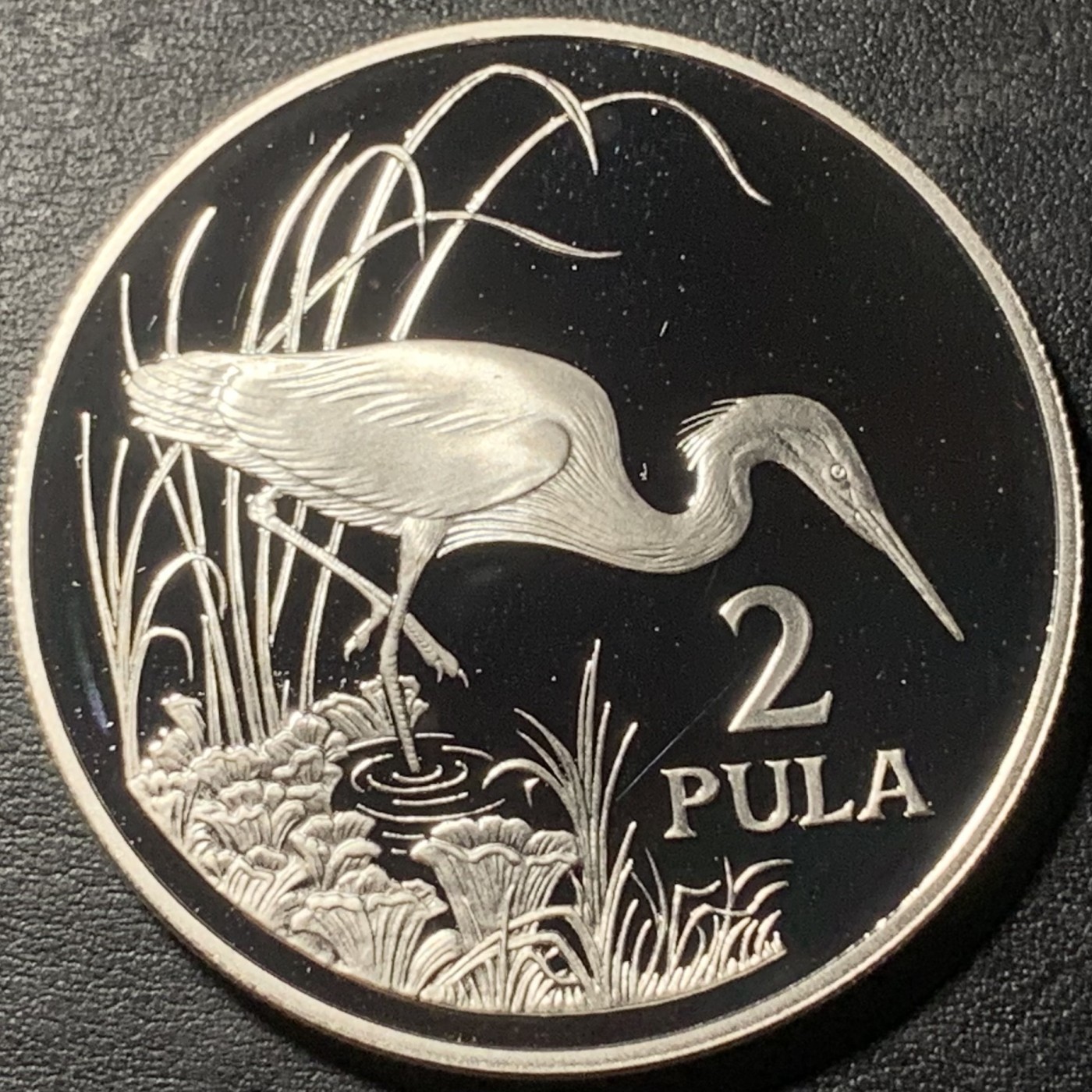 紫瑗钱币——第329期拍卖 博茨瓦纳 1986年 WWF世界濒危野生动物 鹳 2帕拉 28.28克 0.925银 精制