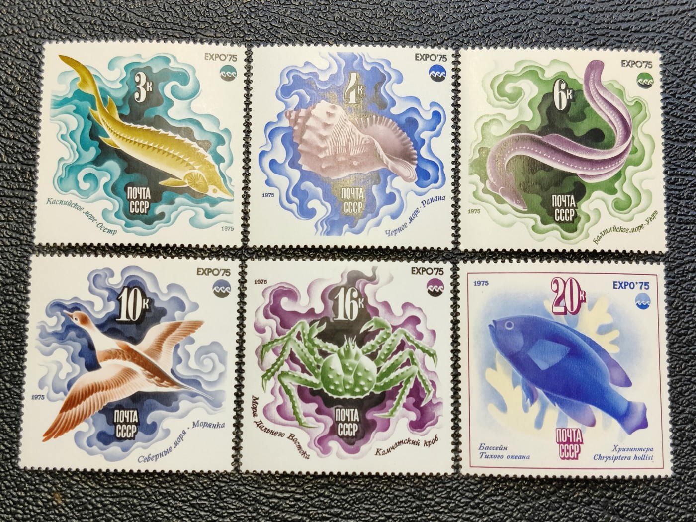 洪涛臻品批发群 精选邮票限时拍卖第四百五十八期  苏联 1975年冲绳国际博览会-海洋 6全套 新票如图原胶润亮 精美大票！