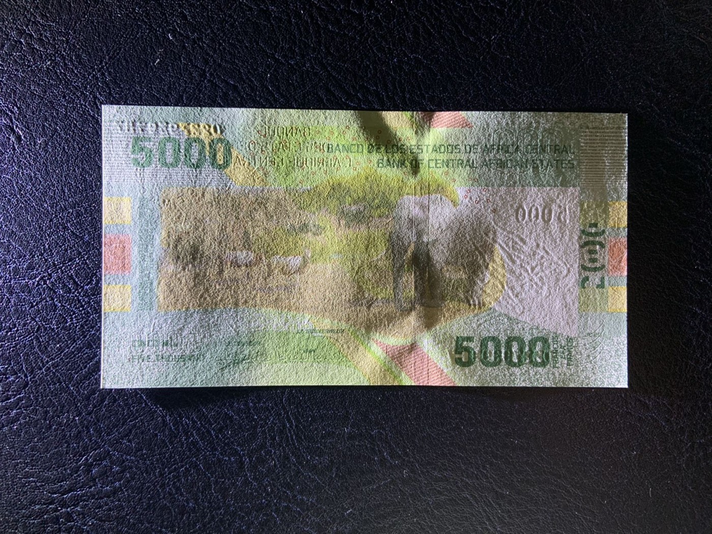收藏联盟Quantum Auction 第308期拍卖  中非货币联盟2020年5000法郎 品相全新UNC 号码无4 