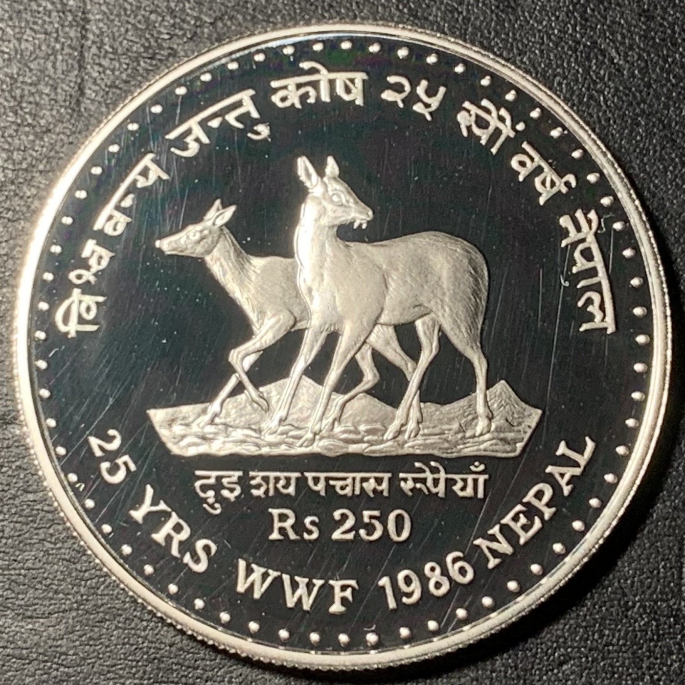紫瑗钱币——第329期拍卖 尼泊尔 1986年 WWF基金会25周年 梅花鹿 250卢比 24克 0.925银 精制