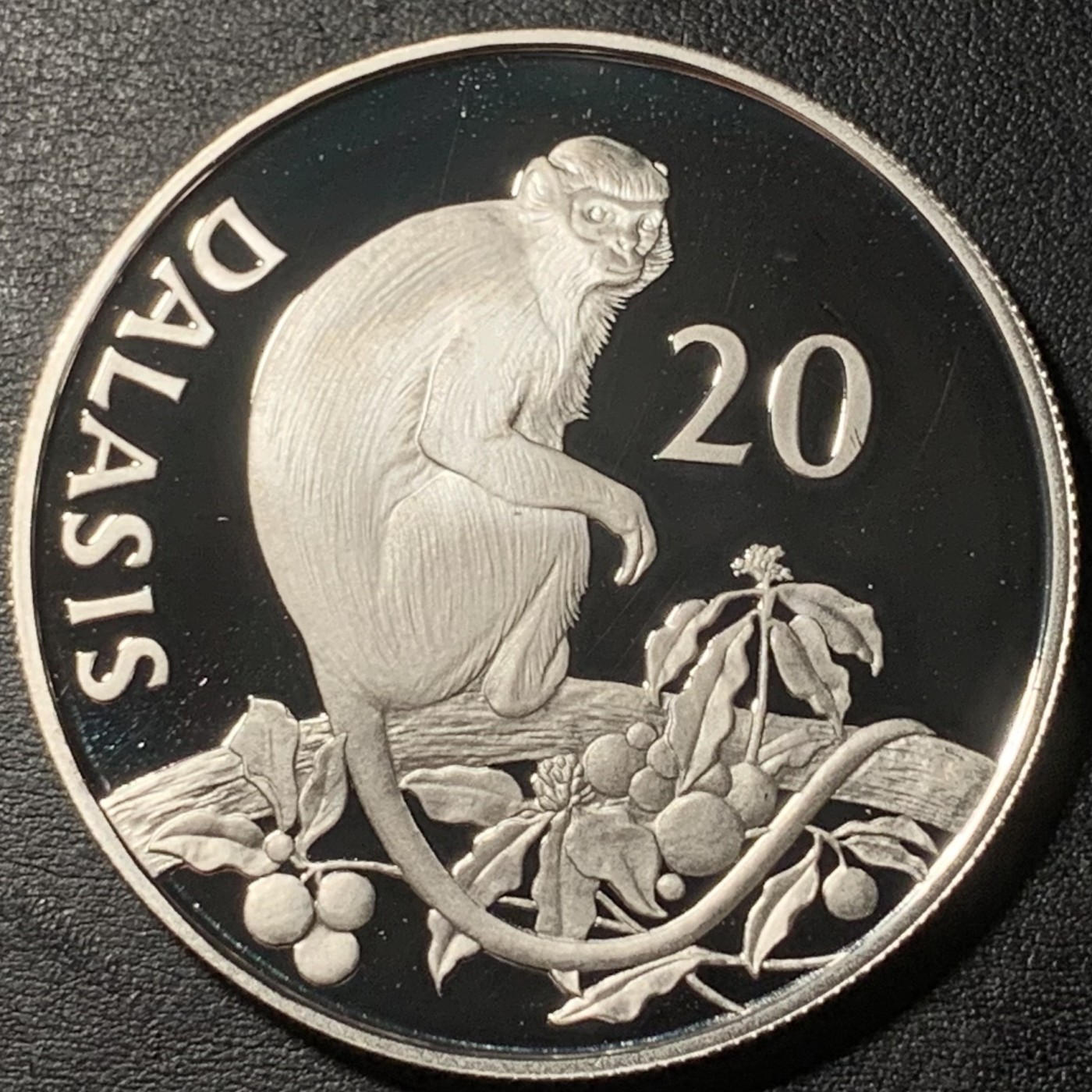 紫瑗钱币——第329期拍卖 冈比亚 1987年 WWF野生动物基金会 疣猴 20达拉西 28.34克 0.925银 精制