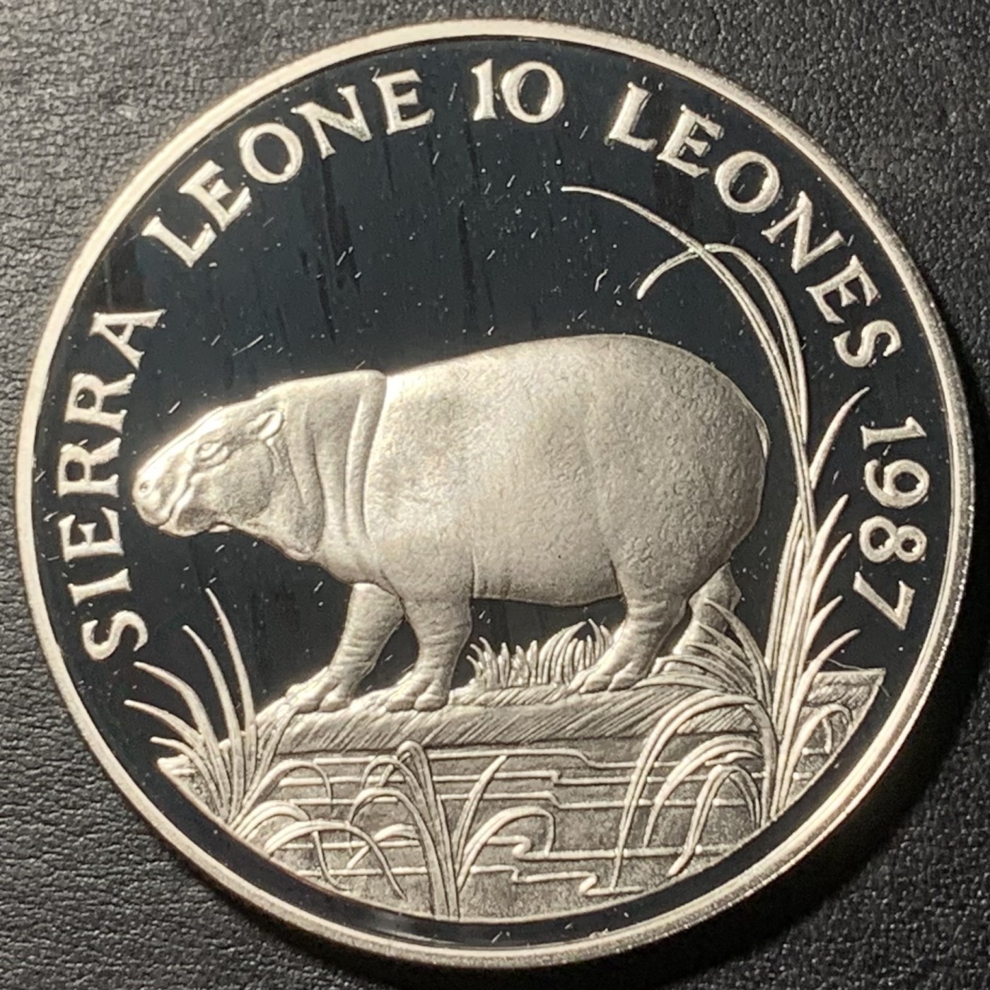 紫瑗钱币——第329期拍卖 塞拉利昂 1987年 WWF基金会25周年 侏儒河马 10利昂 28.28克 0.925银 精制