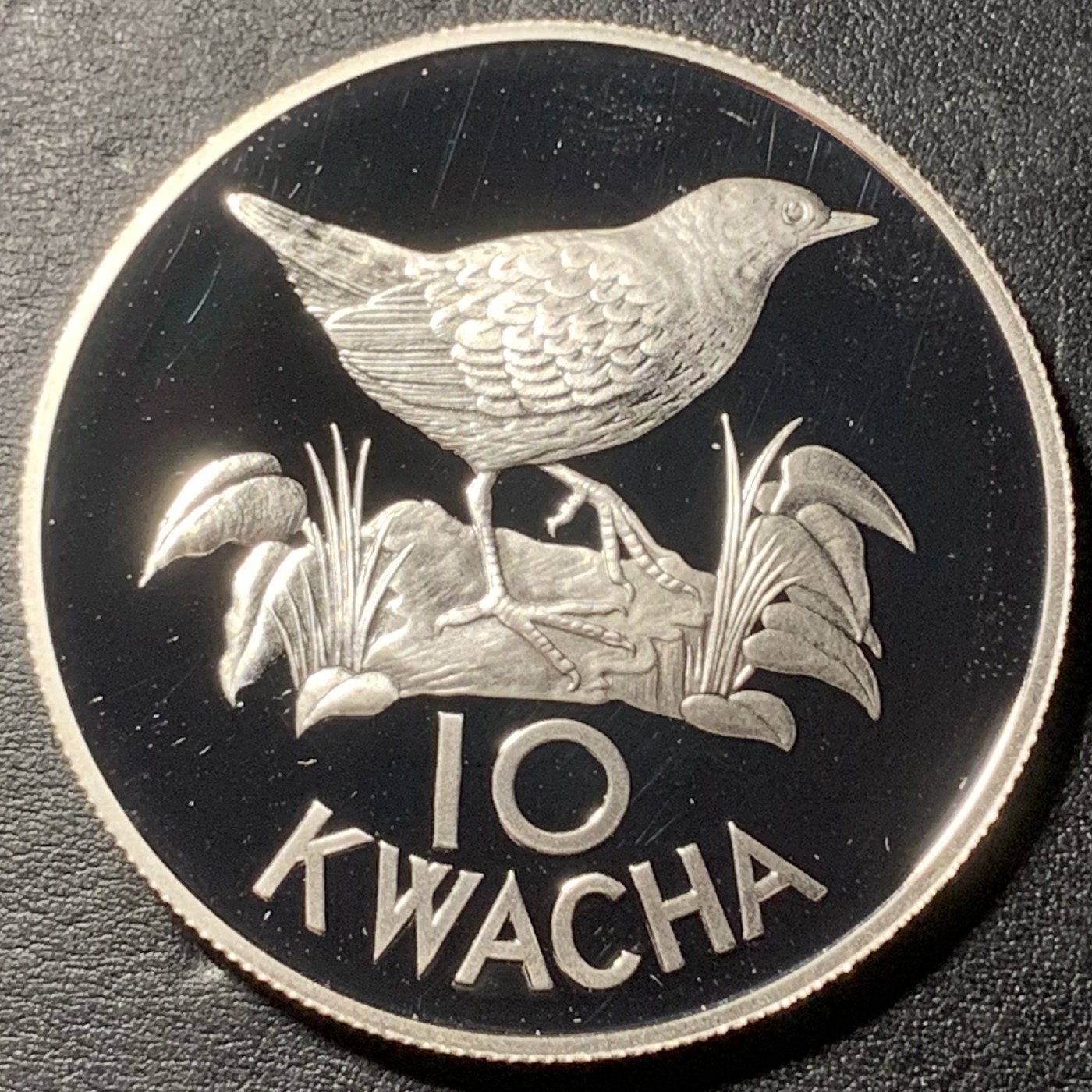 紫瑗钱币——第329期拍卖 赞比亚 1986年 WWF基金会25周年 鸟 10卡瓦查 25克 0.925银 精制
