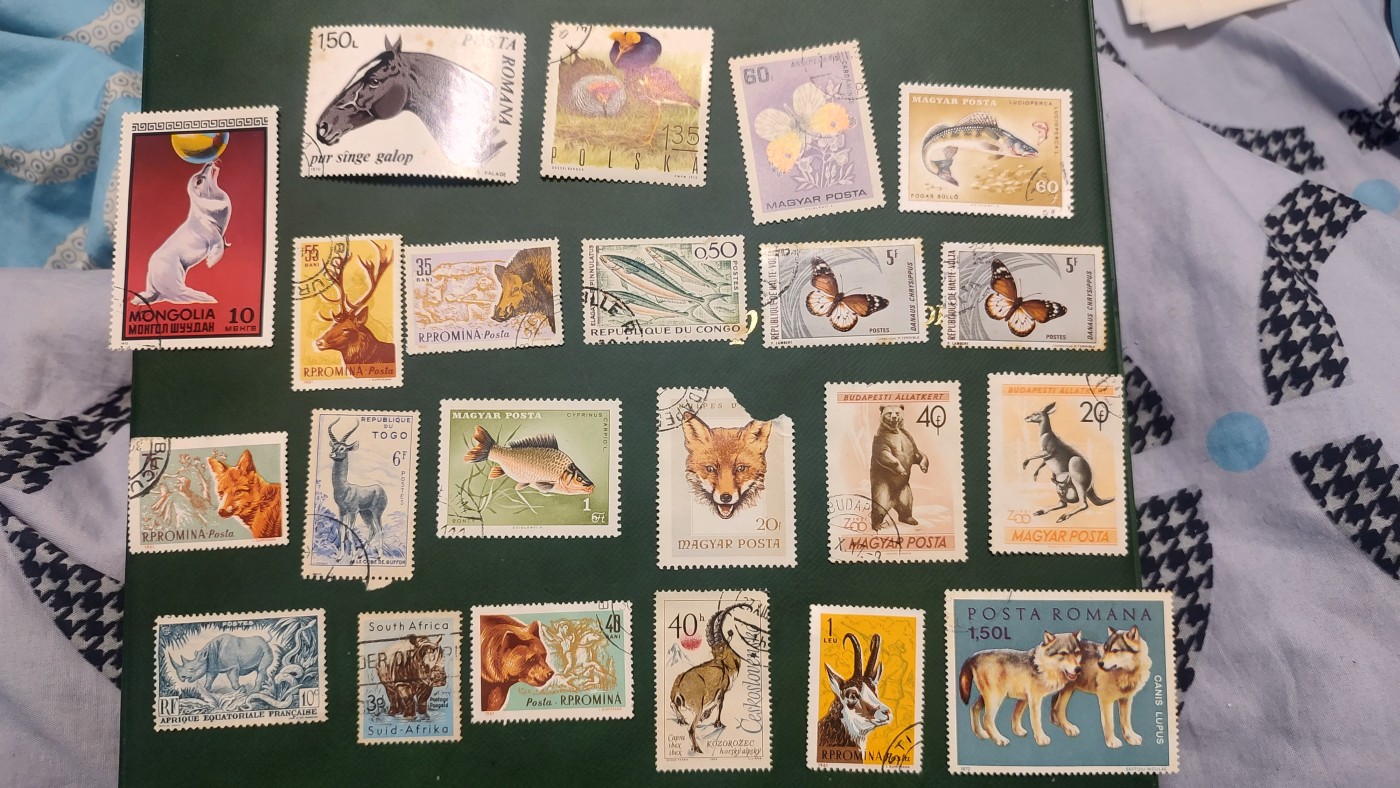 一月邮币社第十期拍卖国际邮票专场 动物类信销22枚