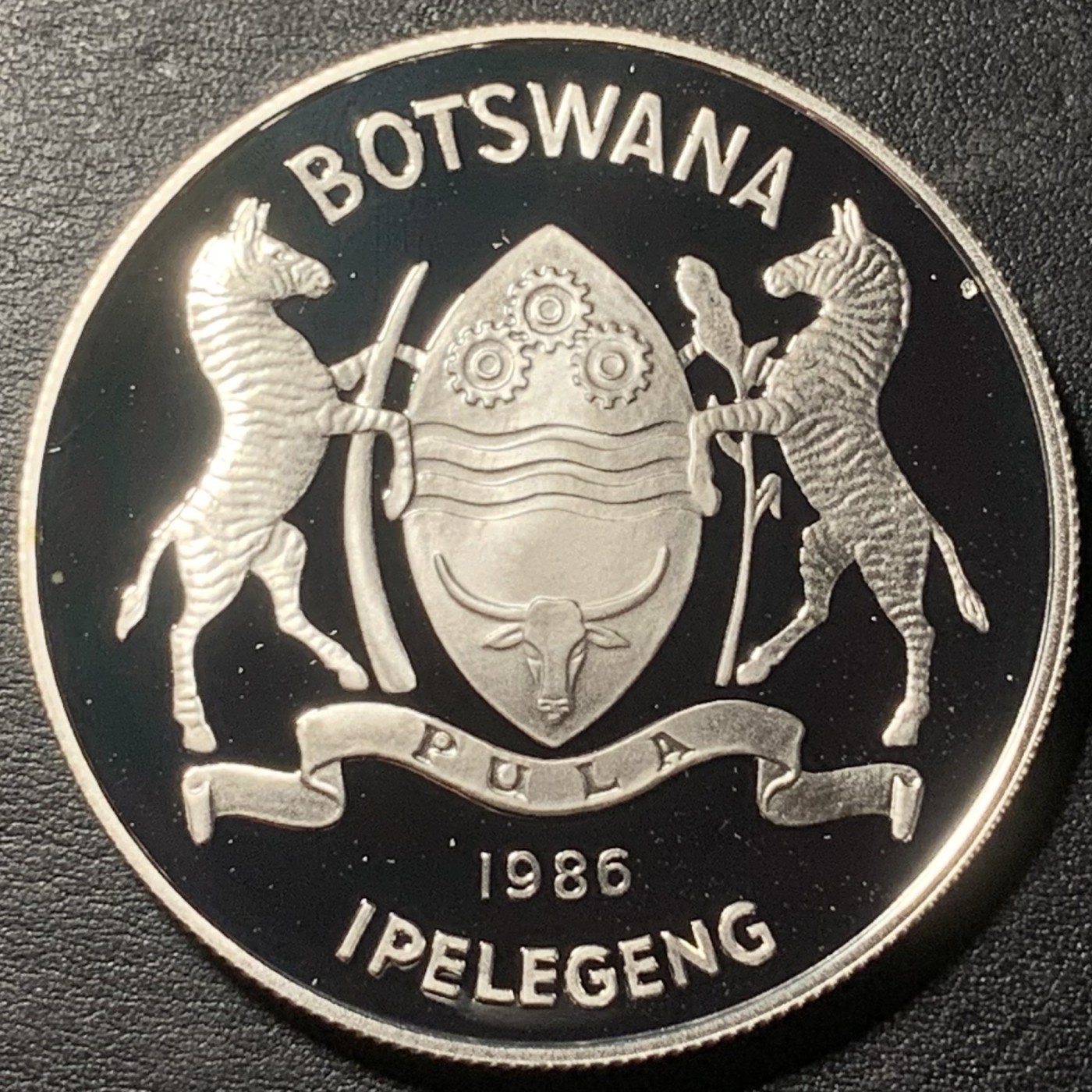 紫瑗钱币——第329期拍卖