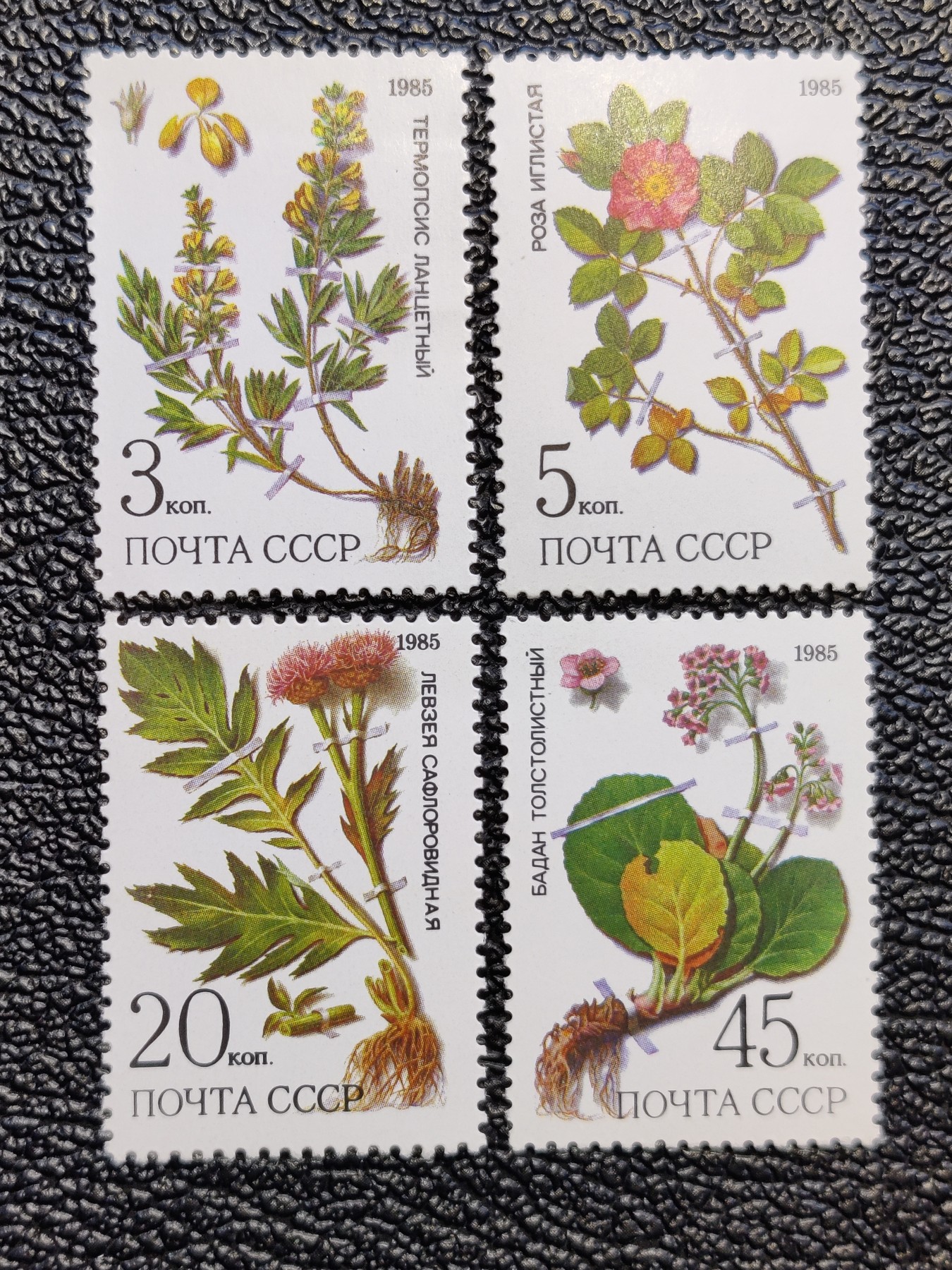 洪涛臻品批发群 精选邮票限时拍卖第四百五十八期  苏联 药用植物4枚新 新票如图原胶润亮  