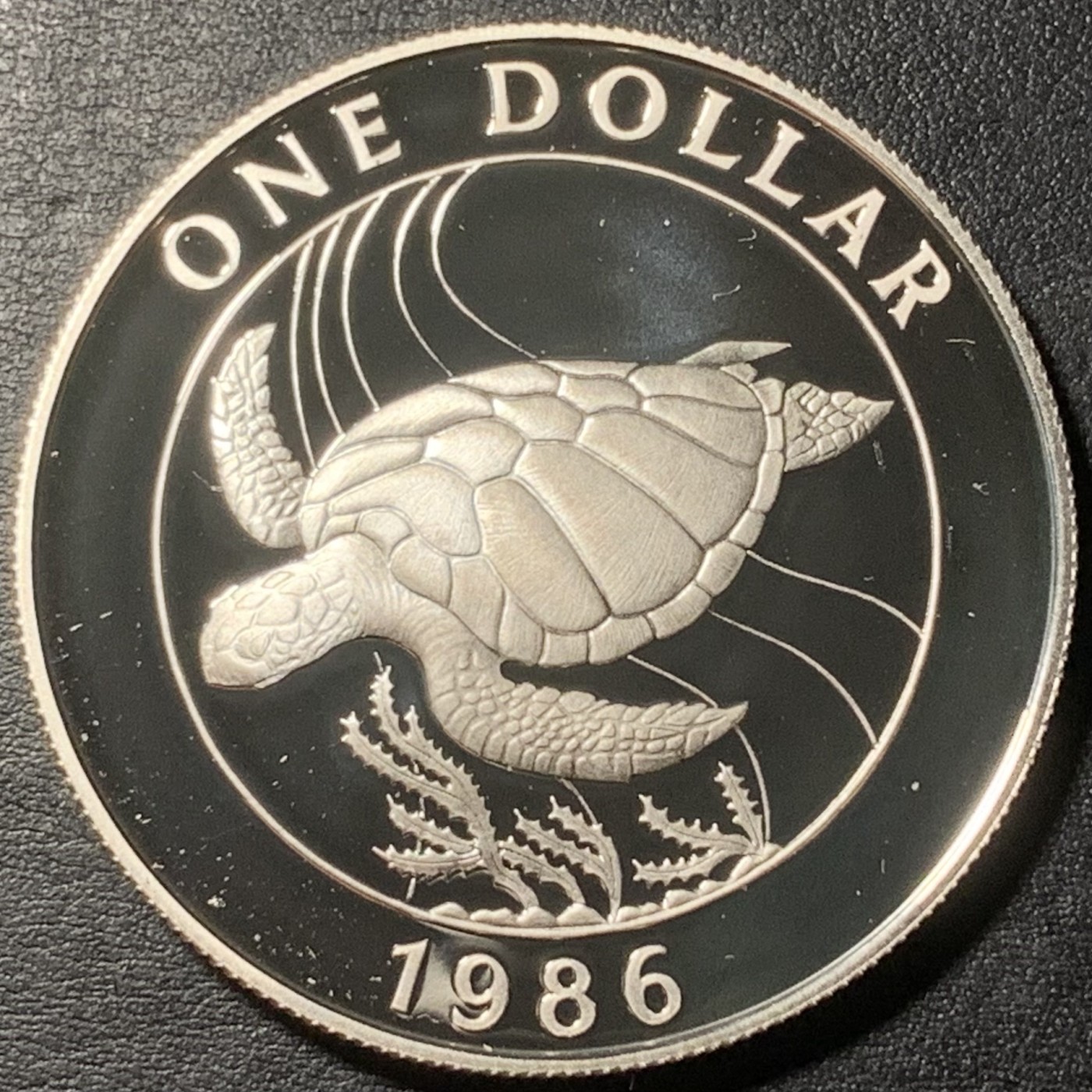紫瑗钱币——第329期拍卖 百慕大 1986年 珍稀海洋动物 大海龟 1元 28.28克 0.925银 精制