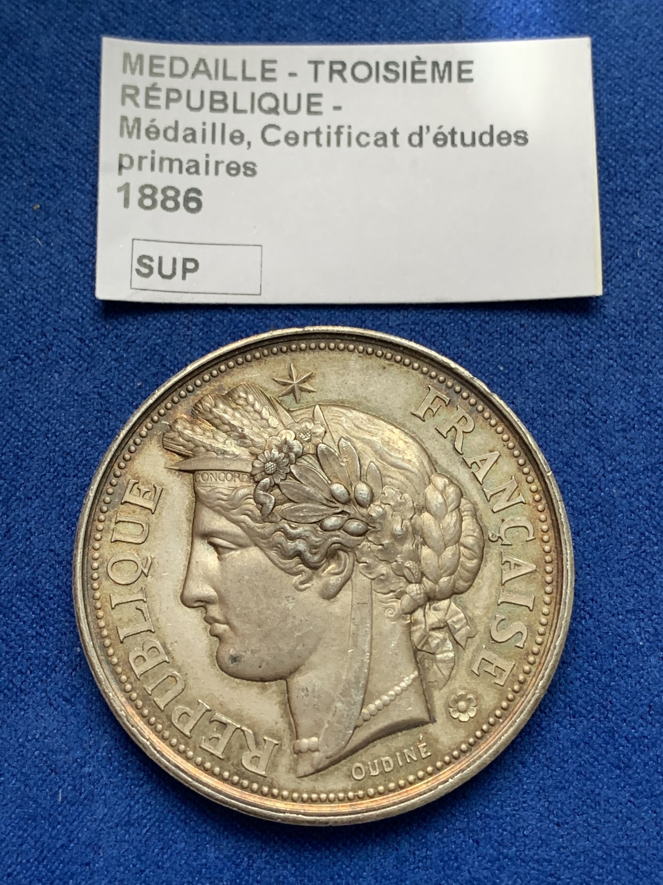 《竞宝斋》第221场-周日，周一 2场 (全场包邮) 法国1886年法兰西第三共和国 教育题材银章 直径41.5mm 39.1克 丰饶角边铭银标 未流通状态 五彩包浆