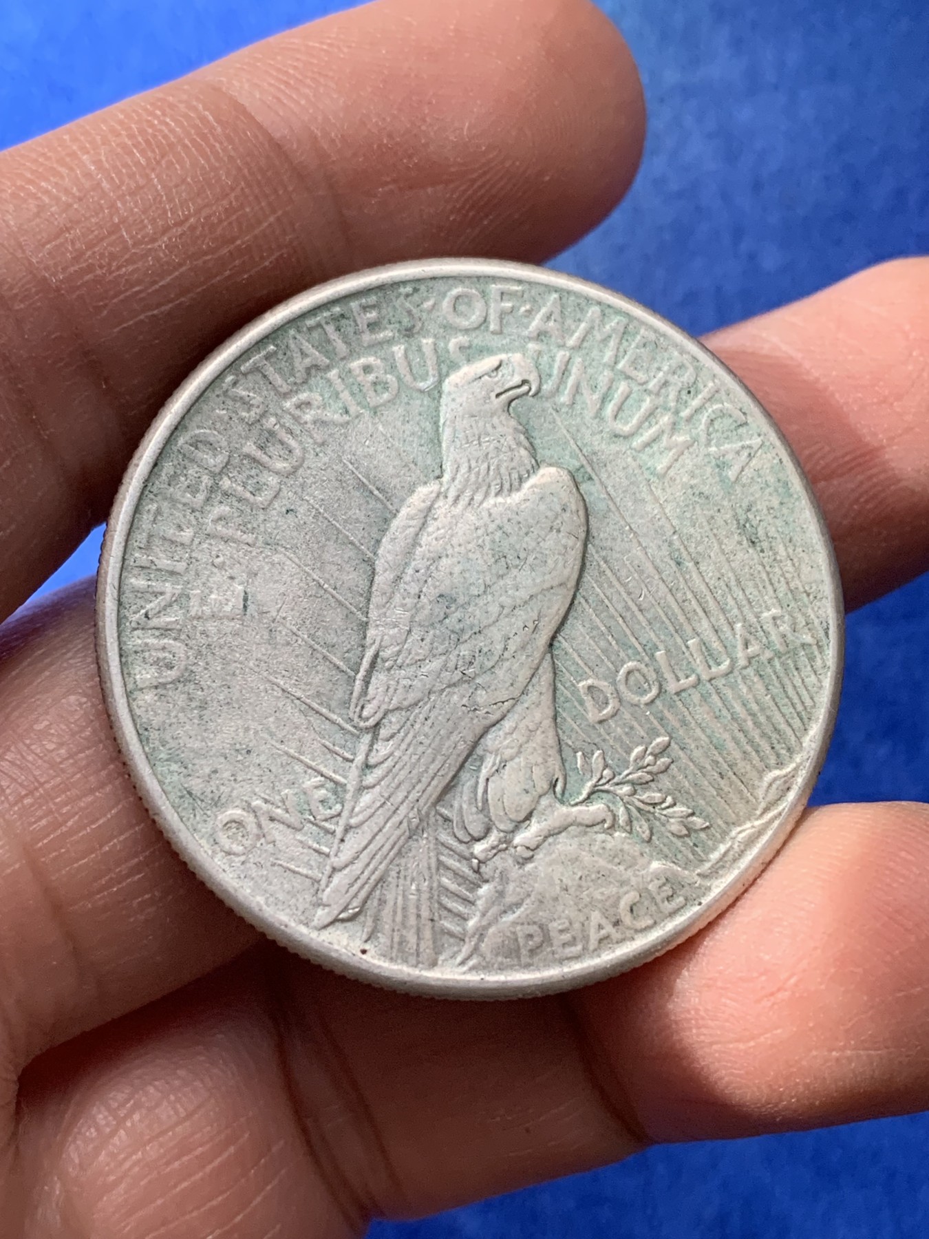 《竞宝斋》第221场-周日，周一 2场 (全场包邮) 美国1925年和平鸽1美元大银币