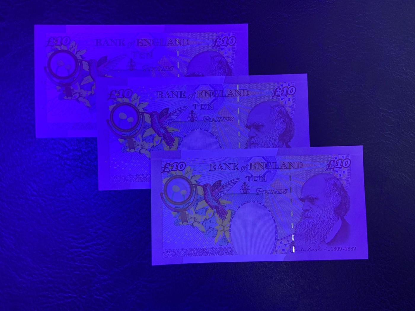 收藏联盟Quantum Auction 第308期拍卖  英国2004年版10镑3张 品相UNC  达尔文