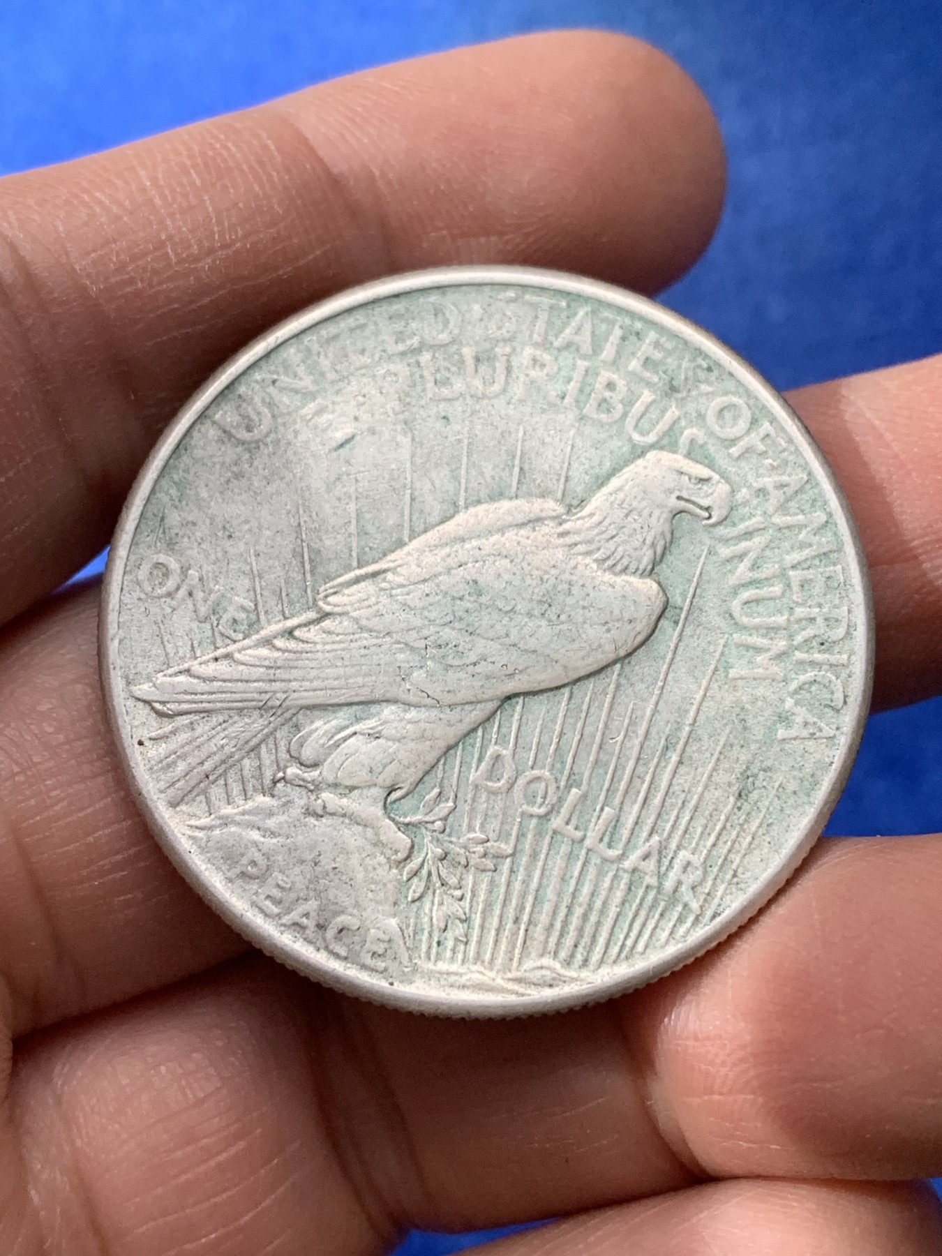 《竞宝斋》第221场-周日，周一 2场 (全场包邮) 美国1925年和平鸽1美元大银币