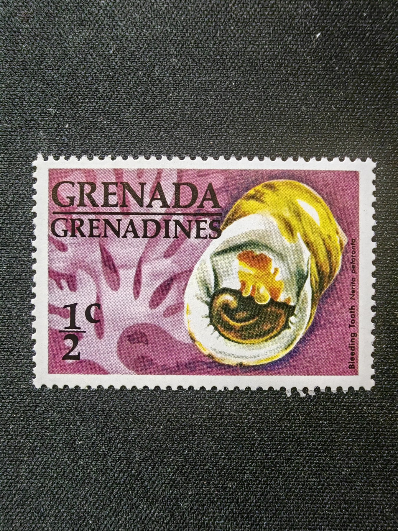 多国邮票专场（拍卖）第③④场 （0佣金） 格林纳达1976 贝壳（无戳）