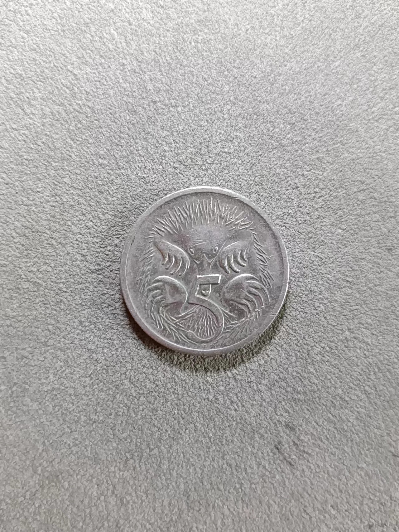 源泉斋12.5散币场（0押金，无佣金，捡漏） 英国鸭嘴兽5便士