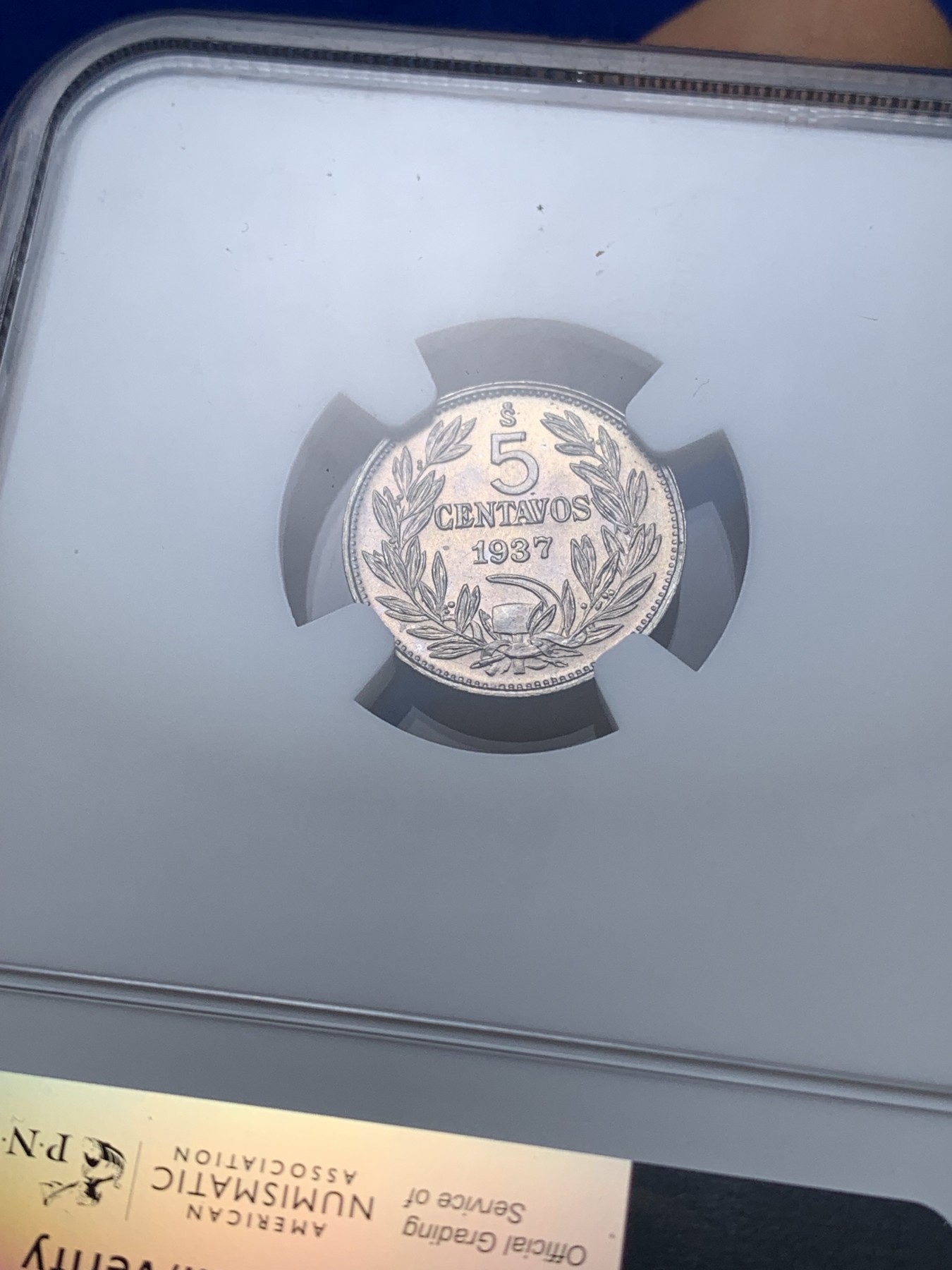 《竞宝斋》第221场-周日，周一 2场 (全场包邮) NGC-MS65 智利 1937年 秃鹰 秃鹫 5分 少见高分