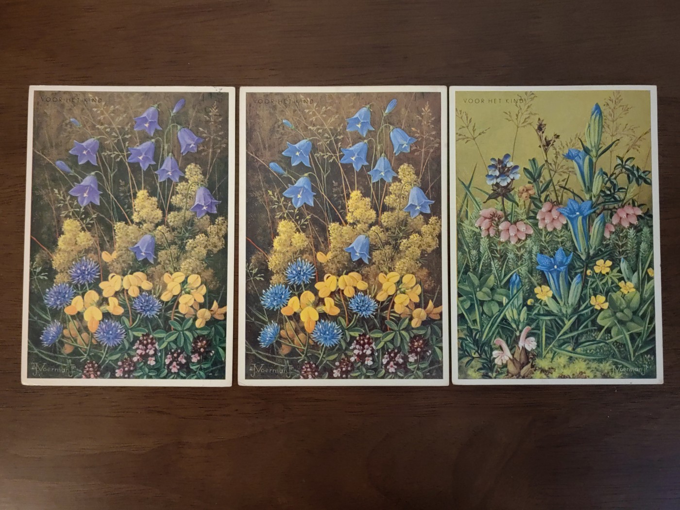 多国邮品🌞放大漏💥🔥💥组合专场 第③⑤场 60年代 花卉 明信片 3件