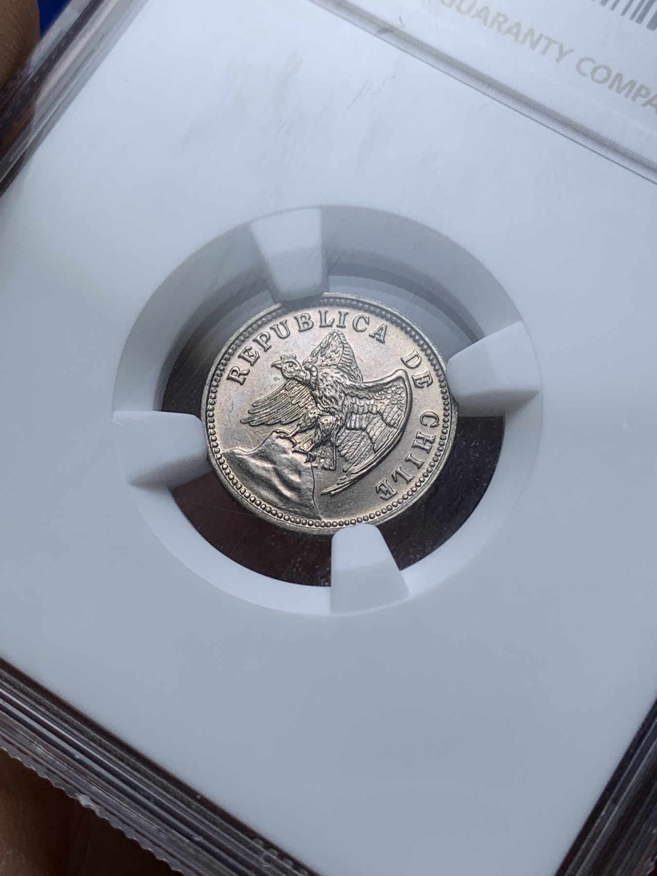 《竞宝斋》第221场-周日，周一 2场 (全场包邮) NGC-MS65 智利 1937年 秃鹰 秃鹫 5分 少见高分