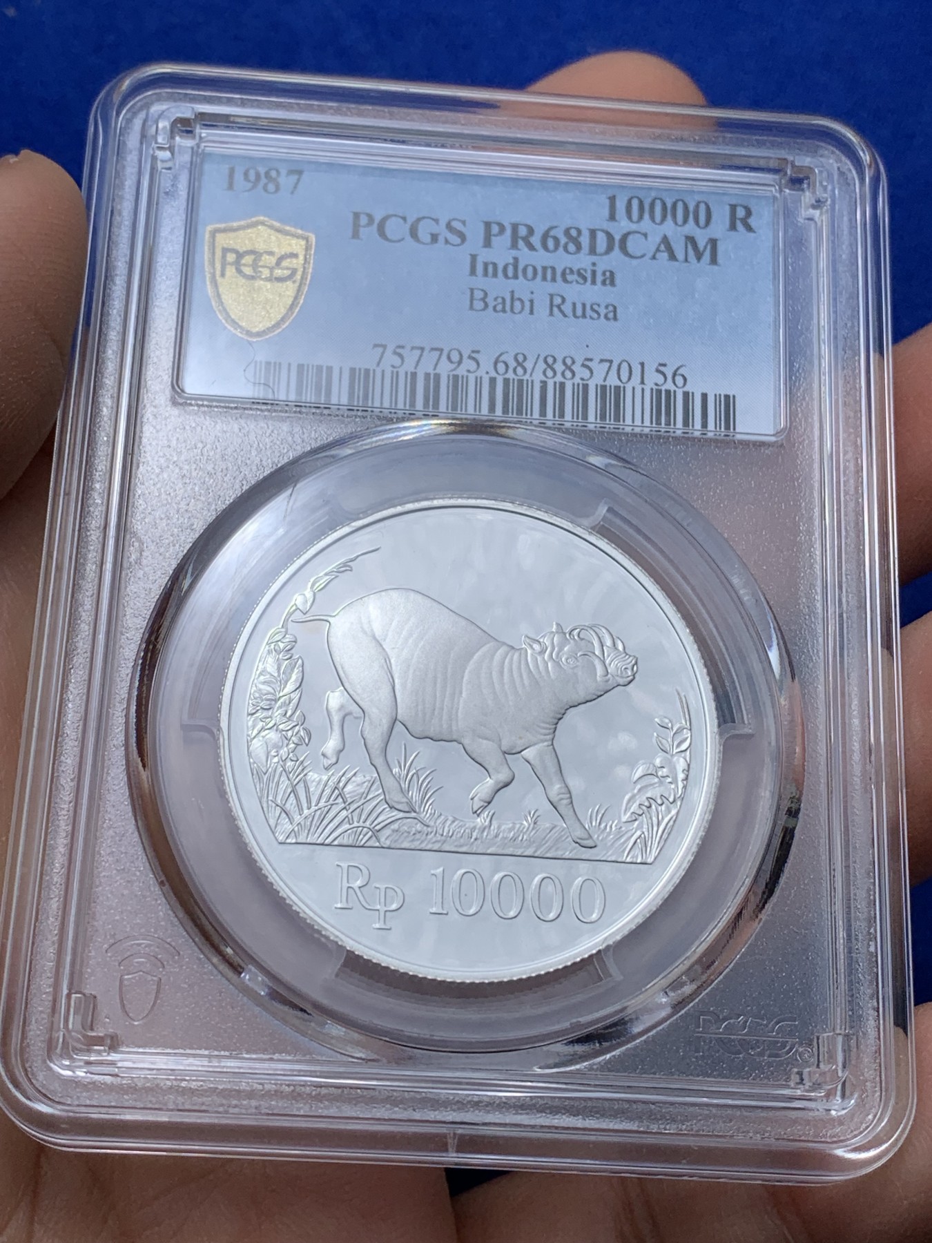 《竞宝斋》第221场-周日，周一 2场 (全场包邮) PCGS金盾 PR68DCAM 印度尼西亚1987年鹿豚1万卢比精制银币