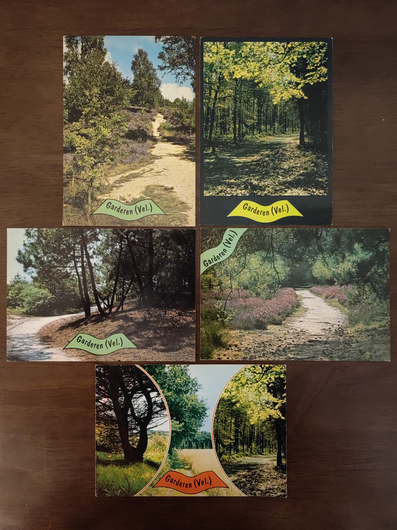 多国邮品🌞放大漏💥🔥💥组合专场 第③⑤场 树林摄影一套 5件